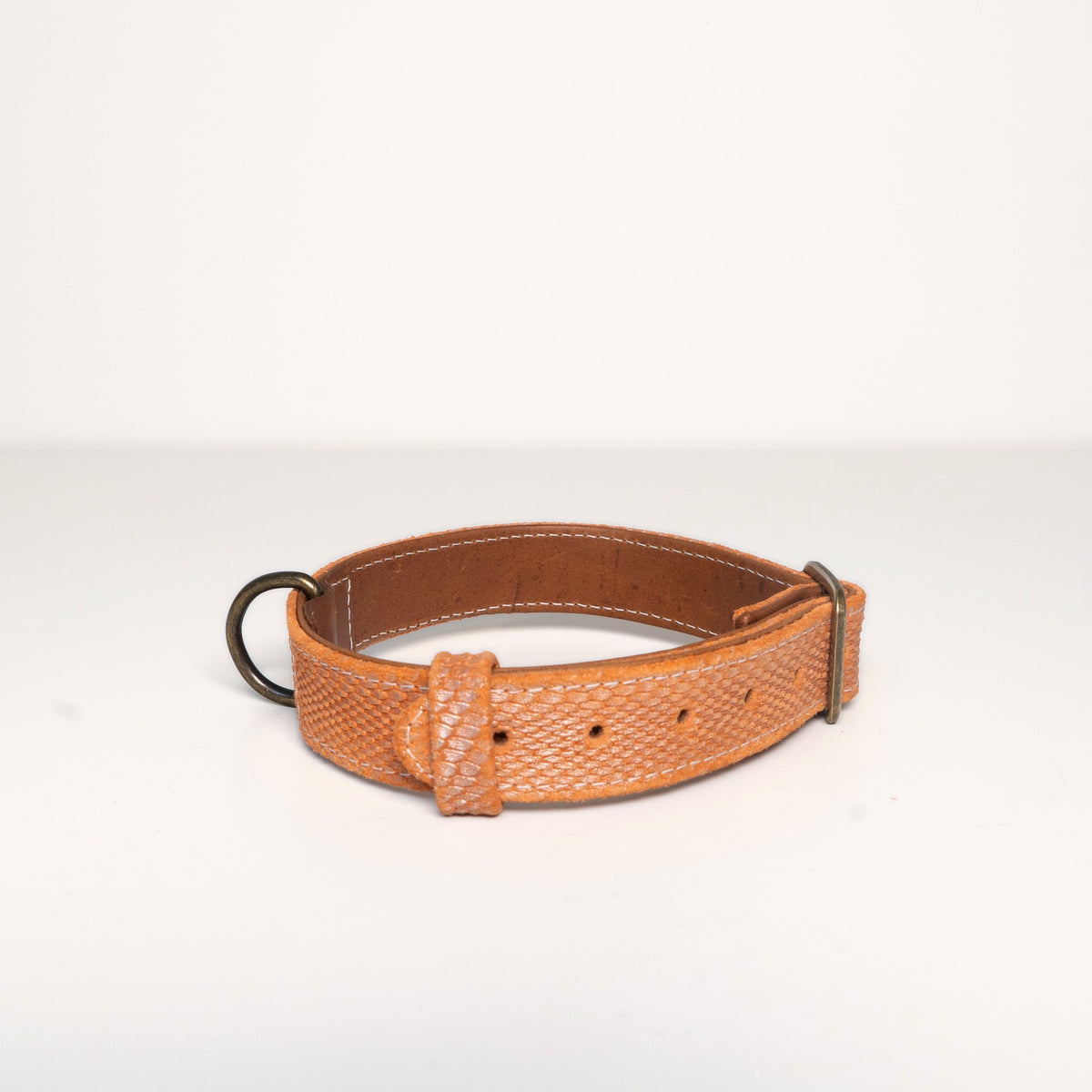 Collar Theo, orange snake embossed suede, back with buckle and D ring