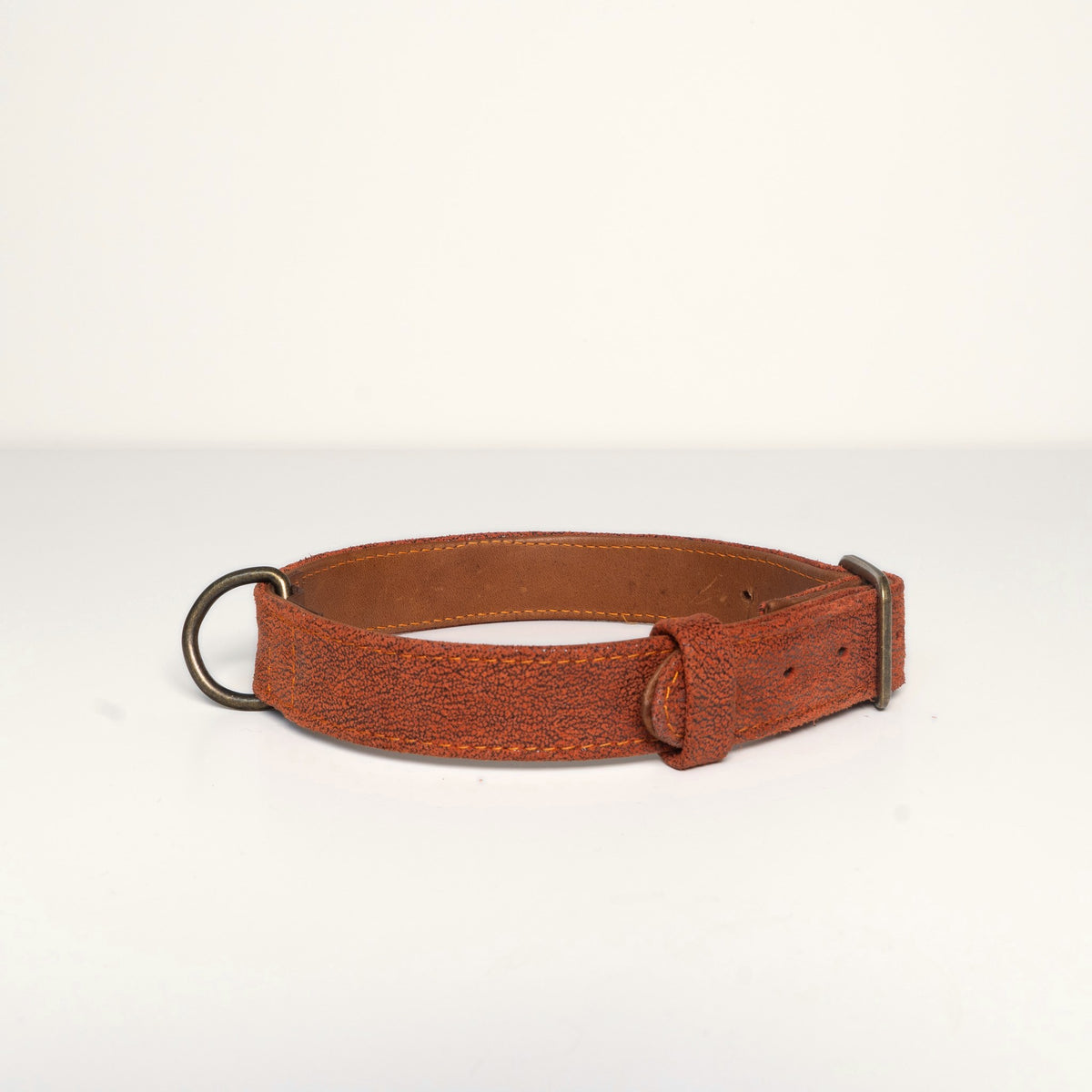 Collar Louie, rust red crackled suede, back with buckle and D ring